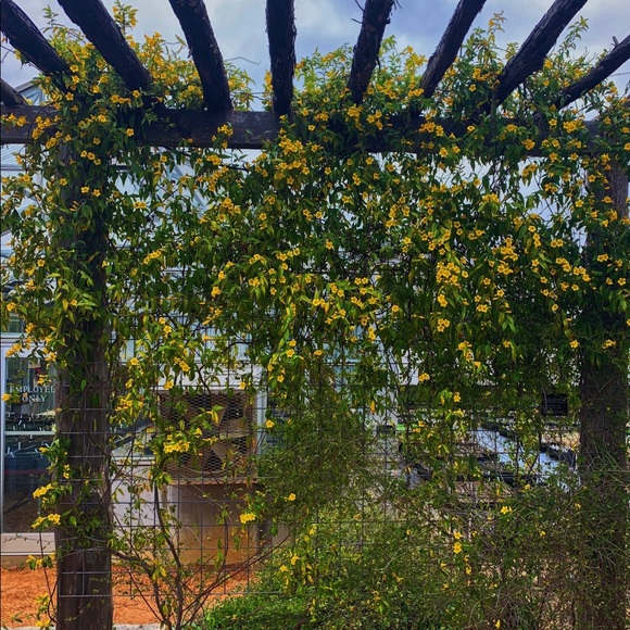 Meet your Posher, Lindsay - Picture 1 of 1